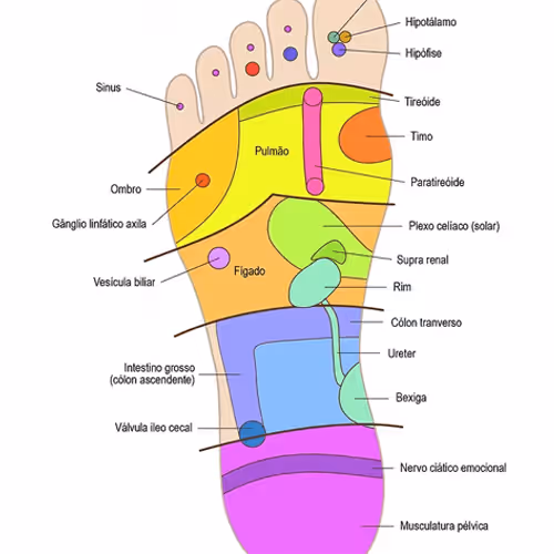 Reflexologia Podal com Certificado - Guia Completo